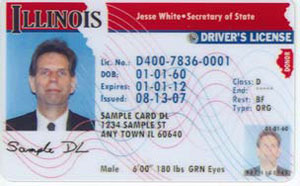 illinois drivers license codes